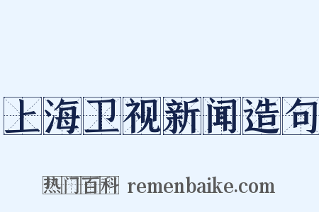 上海卫视新闻造句是什么意思的图片